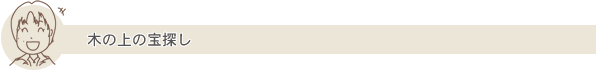 木の上の宝探し