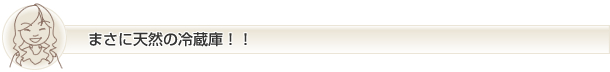 まさに天然の冷蔵庫!
