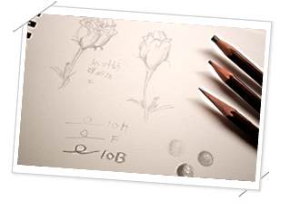 �����b�V���Z���N�g10�����ܕi�ʐ^