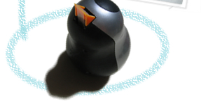 �X�E�B���O�o�[�h�E�ォ��