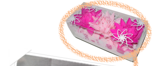 �t�����[�o�X�u�[�P