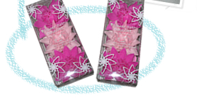 �t�����[�o�X�u�[�P