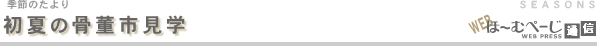 初夏の骨董市見学-季節のたより