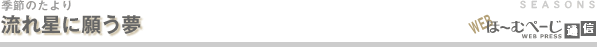 流れ星に願う夢-季節のたより