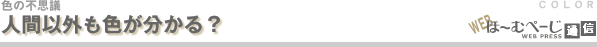人間以外も色が分かる?-色の不思議